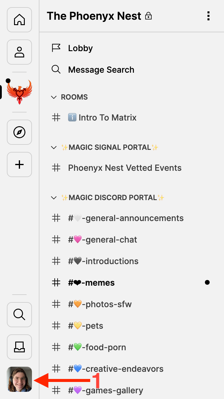Screenshot pointing to the User Settings button